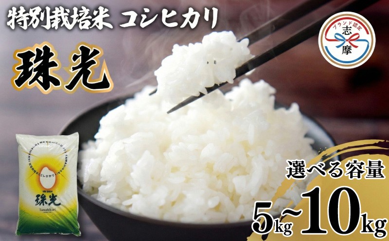 
                  コシヒカリ 5kg or 10kg 米 お米 ブランド米 国産 美味しいお米 食味 白飯 飯 ご飯 5kg 5キロ 10kg 10キロ 精米 白米 こしひかり こめ コメ おこめ okome kome おむすび おにぎり 弁当 美味しい グルメ 朝食 贈答 取り寄せ ギフト 魚 肉 の おかず にあう 令和7年産 志摩産  三重県 志摩市
                