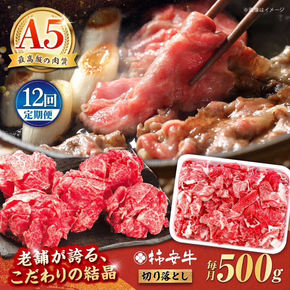 【ふるさと納税】【12回定期便】最高級A5等級 三重県産 黒毛和牛 柿安牛 切り落とし 500g / 国産牛 ブランド牛 牛肉 冷蔵 / 亀山市 / 柿安本店 [AMBW011]