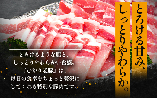 【定期便全3回】ひかり麦豚 プレミアム定期便 ≪月替わりでしゃぶしゃぶ・焼肉・ハンバーグをお届け！≫ 冷凍 HM-11 | 精肉 お惣菜 肉 お肉 にく 豚肉 焼き肉 バーベキュー ロース肉 肩ロース