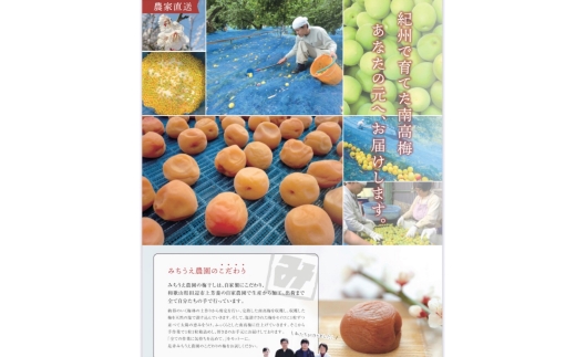 N061　紀州南高梅（白干梅）１ｋｇ入