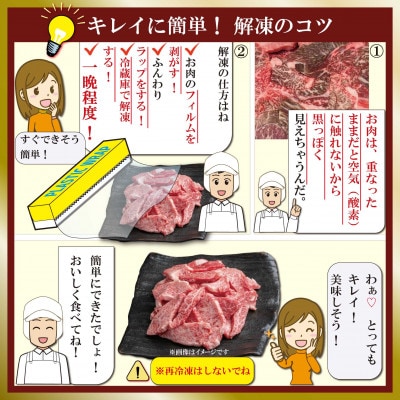 訳あり 神戸牛 切り落とし肉&焼肉用(部位おまかせ)計800g SOSY2【2026年4月より発送】【配送不可地域：離島】【1686972】