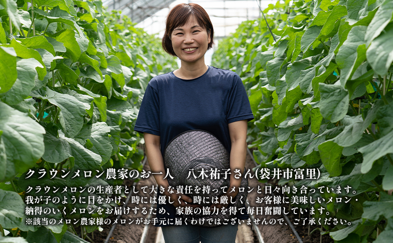クラウンメロン【並（白等級）】中玉（1.3kg前後）2玉入り 人気 厳選 ギフト 贈り物 デザート グルメ 果物 袋井市 果物類 メロン青肉 フルーツ 