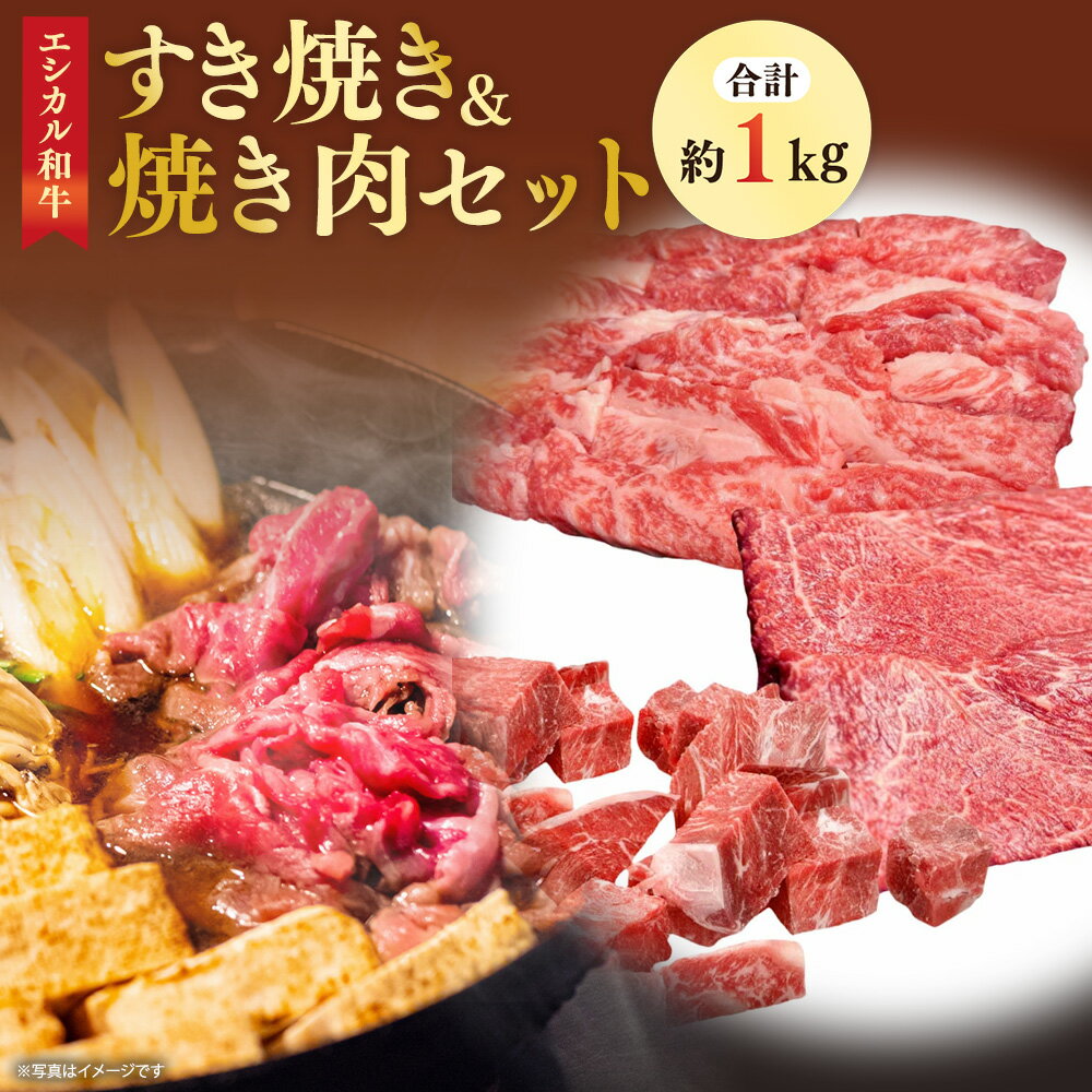 【ふるさと納税】【エシカル和牛】あか牛の極み・すき焼き＆焼肉セット 計約1kg 各約200g 肩ロース カタ カルビ あか牛 和牛 牛肉 肉 お肉 バラ 薄切り スライス しゃぶしゃぶ すき焼き すきやき 鉄板焼 鍋 煮込み 焼肉 BBQ セット 国産 九州 熊本県 個装 冷凍 送料無料