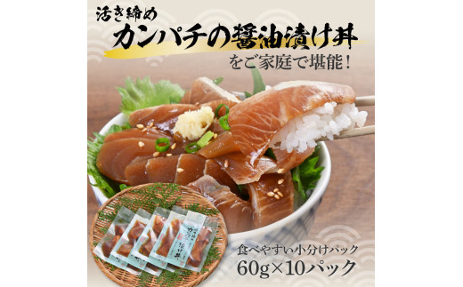 訳あり 活き締めカンパチの醤油漬け丼(10P)セット かんぱち 醤油 特製タレ 惣菜 魚 魚介類 海鮮 海鮮丼 お茶漬け 新鮮 高鮮度 ご自宅用 ご家庭用 美味しい お取り寄せ 国産