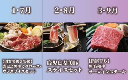 【全６回定期便】鹿児島県産牛・豚バラエティ定期便(Z120-1728) 牛 牛肉 肉 豚 豚肉 黒豚 茶美豚 サーロイン ステーキ 黒毛和牛 豚スライス 豚スラ カタロース ウデスライス ハンバーグ 
