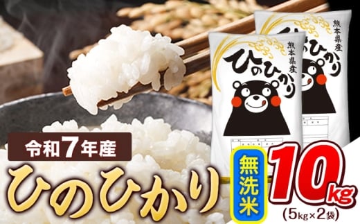 令和7年産  無洗米 ひのひかり 10kg 《7-14日以内に出荷予定(土日祝除く)》 令和7年産 熊本県産 ふるさと納税 精米 ひの 米 こめ ふるさとのうぜい ヒノヒカリ コメ お米 おこめ