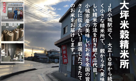 【定期便】 (12ヶ月連続お届け) 大坪精米所 佐賀ブランド米定期便（5kg×12回） 選べる精米率（玄米・3分.5分.7分づき・白米）Q104-001