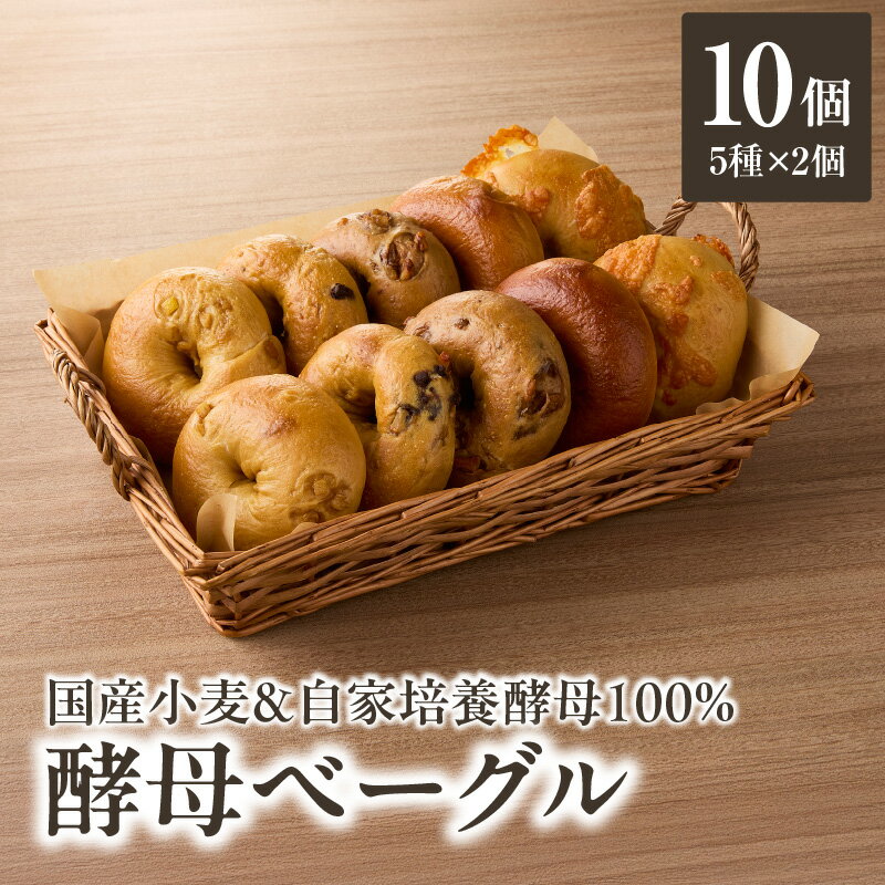 【ふるさと納税】 国産小麦＆自家培養酵母100％　酵母ベーグル5種×2個 パン ベーグル 身体にやさしい 自然素材 素朴 セット おやつ 朝食 国産 酵母 プレーン チョコ チーズ 胡桃 オレンジ 風味 食感 もちもち もっちり 食べ応え 冷凍 朝食 おやつ 《レビューキャンペーン》