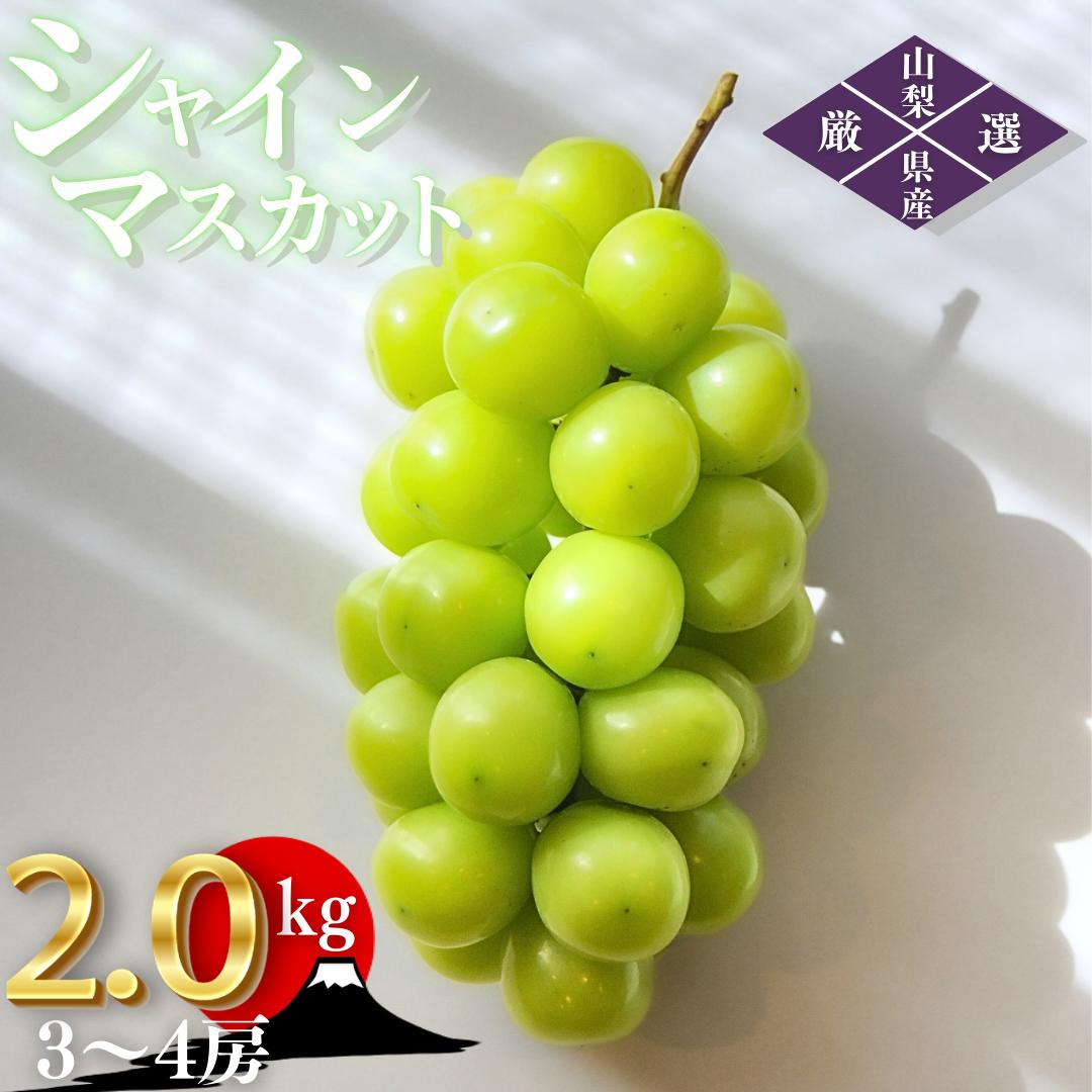 【2026年発送★先行予約】笛吹市産　厳選シャインマスカット［2.0kg］（3～4房）フルーツ大国！山梨県笛吹市より産地直送 209-005 OUTTA REACH JAPAN