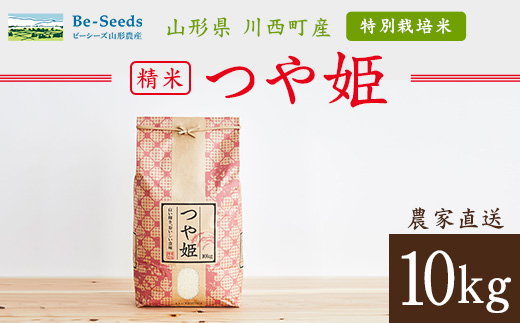 令和7年産　山形県産　つや姫　10kg_米 こめ 白米 精米 精白米 特別栽培米 つや姫 ブランド米 産地直送 人気 おすすめ 贈答 ギフト プレゼント 送料無料 お取り寄せ お米 ごはん 山形県 川西町【1144531】