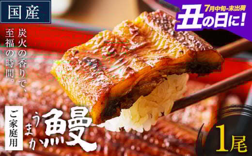 うなぎ ご家庭用 1尾 国産 ランキング 獲得 鰻 真空パック おすすめ うなぎの蒲焼 《丑の日に！7月中旬〜7月末出荷》 有頭 ふるさとのうぜい 鶏炭火焼 訳あり 簡易包装 不揃い ウナギ unagi 蒲焼 秋 冬 旬 配送時期 冷凍