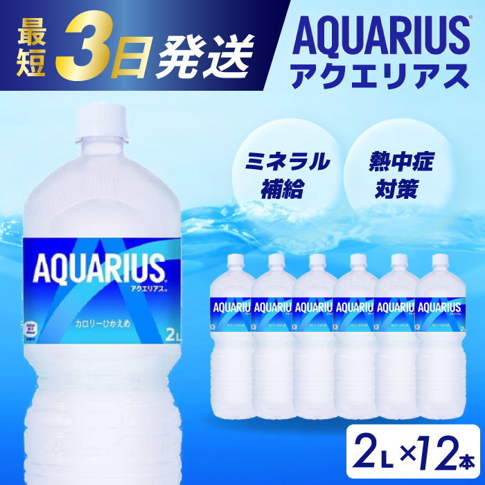 アクエリアス PET 2L×12本(6本×2ケース) 最短3日で発送 スポーツドリンク スポーツ飲料 清涼飲料水 水分補給 ペットボトル 箱買い まとめ買い 014019