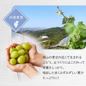 ぶどう 2026年 シャイン マスカット 3～5房 合計約2kg  種無し ブドウ 葡萄 岡山市産 国産 フルーツ 果物 渡邊農園