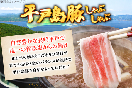 しゃぶしゃぶ 豚肉 平戸島豚のしゃぶしゃぶセット 600g 安心の地元 野菜付 [ひらど新鮮市場 長崎県 平戸市 hr42bgy400144] 豚 自宅 簡単セット セット ぶた肉 ぶたにく 肉 ロー