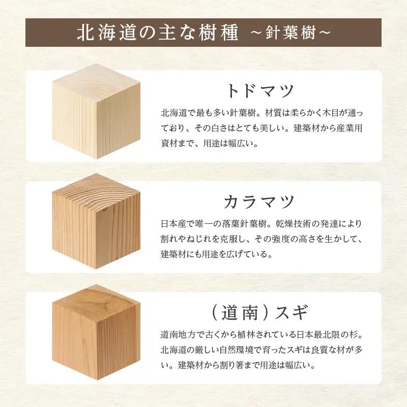 トレイ「grid」 オレンジ 木製 HOKKAIDO WOOD F6S-278