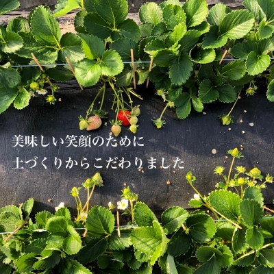 あまおう300g×4パック【配送不可地域：離島】