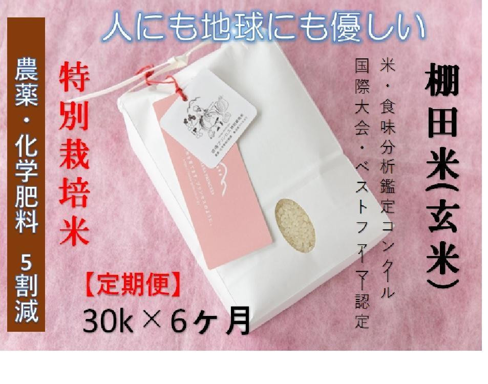 
            【2025年産新米】【6ヶ月定期便】【農薬化学肥料5割減】魚沼コシヒカリ 苗場プリンセス 特別栽培米 玄米 30kg(10kg×3袋)×6回 計180kg
          