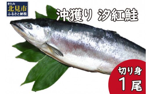 沖獲り 汐紅鮭 切り身 1尾 ( さけ 鮭 紅鮭 魚 魚介類 ふるさと納税 )【017-0026】