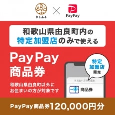 和歌山県由良町　PayPay商品券(120,000円分)※地域内の一部の加盟店のみで利用可