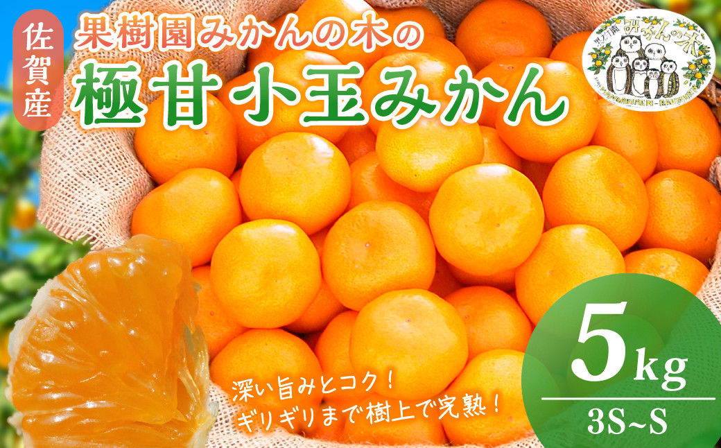 
                  M33x1 果樹園みかんの木の極甘小玉みかん 5kg みかん ミカン 蜜柑 温州みかん 完熟みかん 甘熟 柑橘 有機栽培 国産 佐賀県産 太良町 こだわり 贈答品 産地直送 詰め合わせ 小玉 極甘 【2026年11月上旬-2027年1月下旬発送予定】
                