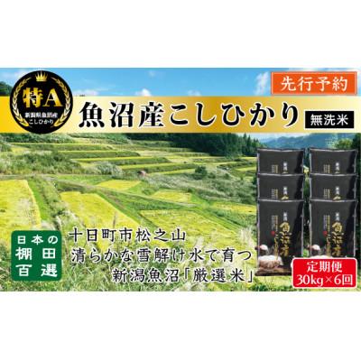 ふるさと納税 十日町市 【発送月固定定期便】《無洗米》日本棚田百選のお米 天空の里・魚沼産こしひかり　30kg全6回