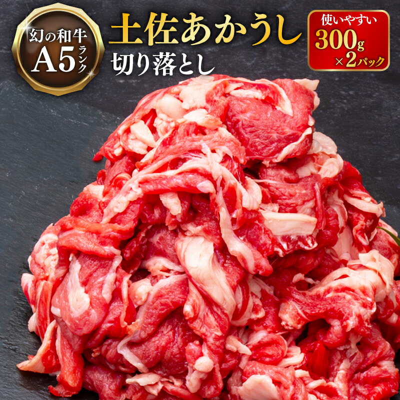 【ふるさと納税】 ｢土佐あかうし｣切り落とし600g 牛肉 和牛 切り落とし 600g 土佐あかうし 土佐 あかうし ブランド牛 国産 国産牛 人気 お取り寄せ 冷凍 BBQ バーベキュー 焼肉 焼き肉 贈答 高知 安田町 MT-01