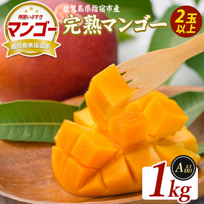 【ふるさと納税】＜先行予約受付中！2026年5月下旬以降順次発送＞鹿児島県指宿産 完熟マンゴー 約1kg 贈答用 完熟 フルーツ 果物 果実 デザート スイーツ 南国 化粧箱入【室屋植物園】