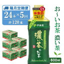 【ふるさと納税】【隔月5回定期便】おーいお茶濃い茶 600ml×24本(合計5ケース)【伊藤園 お茶 緑茶 濃い 渋み まとめ買い 箱買い ケース買い カテキン 2倍 体脂肪】D-R071329