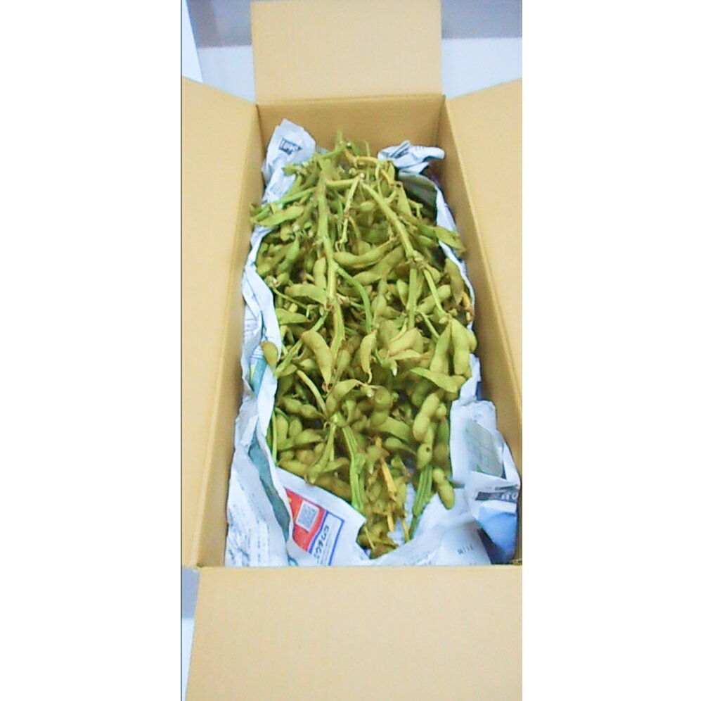 【ふるさと納税】令和7年産 加東市産 丹波種 枝付き 黒枝豆 2kg [ 野菜 えだまめ 枝豆 ビール おつまみ 数量限定 ] 　お届け：2026年10月中旬〜2026年10月末