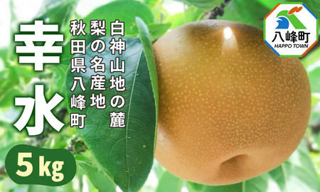 梨 幸水 5kg 白神山地の麓 峰浜の梨 笠原果樹園