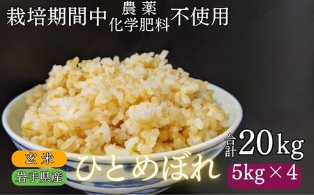 【 2025年 11月下旬より発送】 岩手県産 新米 ひとめぼれ 玄米 20kg ／ 農薬 化学肥料 ：栽培期間中 不使用 武田家のお米【米農家 仁左ェ門】 米 こめ コメ ご飯 ライス おにぎり 弁当 単一原料米 20キロ ２０kg 産地直送 農家直送 国産 おすすめ 人気