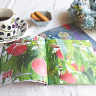 ふるさと納税 山梨県 山梨の旬を堪能!あとから選べるプレミアムギフトカタログ【30万円コース】フルーツ シャインマスカット |  | 01