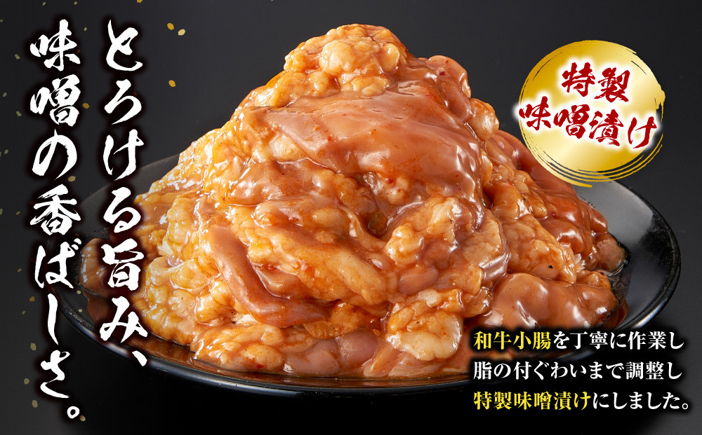 ＜訳アリ＞和牛トロホルモン　特製味噌漬け　0.3kg(300g×1）【2026年1月発送】