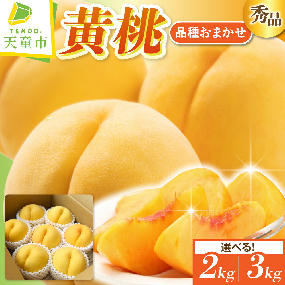 【ふるさと納税】黄桃 ( 品種 おまかせ ) 選べる 秀品 2kg / 3kg 令和8年産 先行予約 2026年 有袋 桃 黄色 人気 おすすめ フルーツ 果物 くだもの 山形 お取り寄せ 産地直送 送料無料 【 山形県 天童市 】