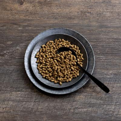 ふるさと納税 羽島市 国産ドッグフード 国産鹿肉使用 ドライタイプ  560g |  | 01