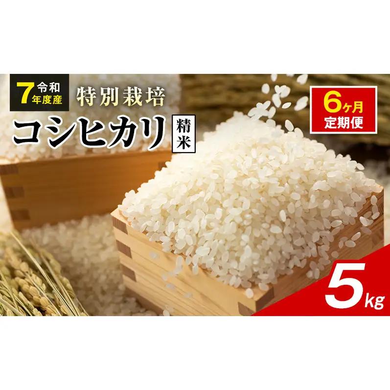 令和7年産 特別栽培米 コシヒカリ 白米 5kg 静岡県産 色彩選別済 食に意識高い方へオススメ 6ヶ月定期便