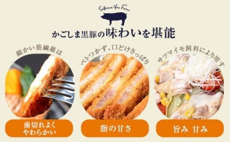 GS-006 かごしま黒豚極上ロース3kgセット （しゃぶしゃぶ用・焼肉用・とんかつ用 各500g×2P） 薩摩八重ファーム みかく亭