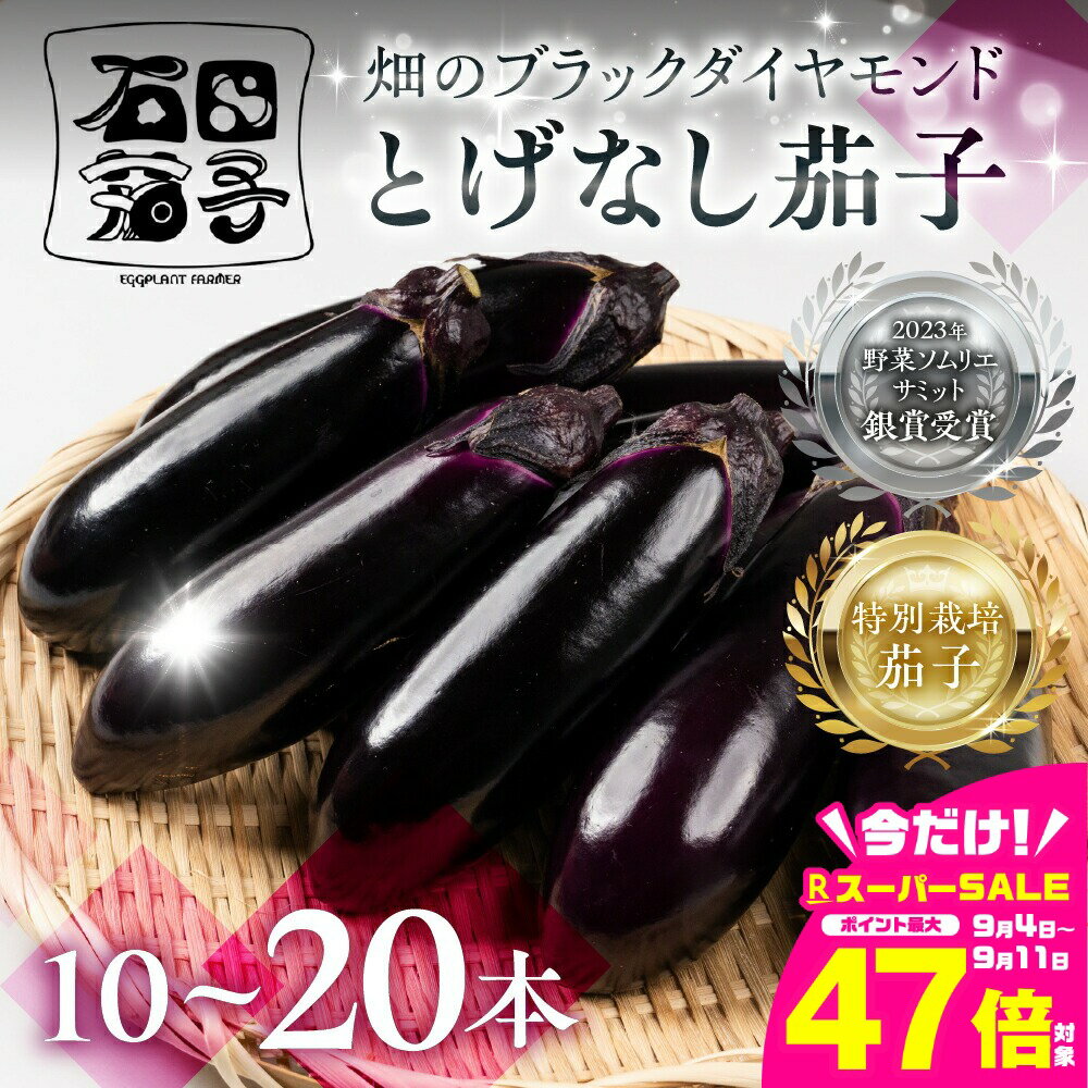 【ふるさと納税】≪TVで話題！≫とげなし茄子 選べる 10本 ~ 20本 ナス 茄子 なす なすび 野菜 旬 旬の野菜 糖度 石田茄子 トゲなし　とげなし お取り寄せ 健康 夕飯 おかず 愛知県 豊橋市 1万円 10000円