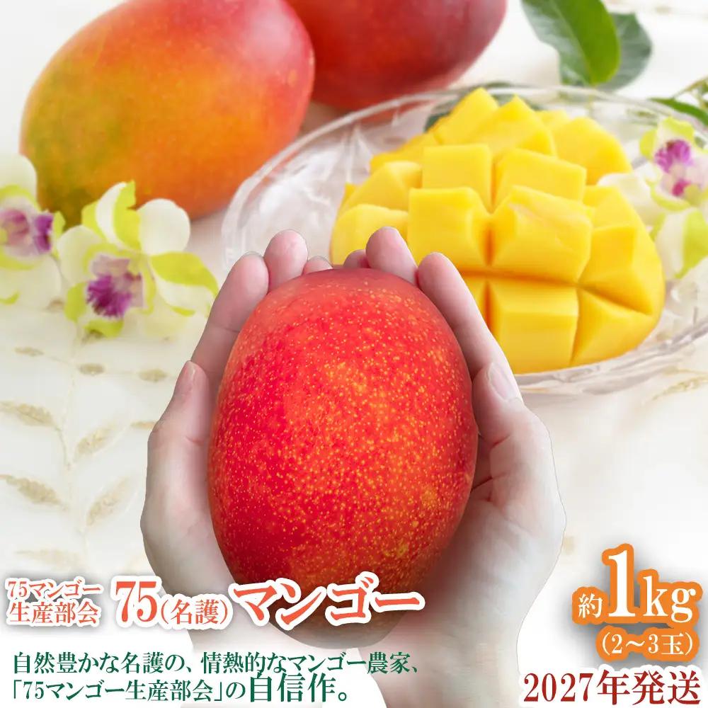 2027年発送【75マンゴー生産部会】 75（名護）マンゴー　約1kg