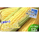 【ふるさと納税】南ふらの産 朝採り とうもろこし (イエロー)【サイズ混合】12本 北海道 南富良野町 トウモロコシ とうきび トウキビ 2024年発送 先行予約　野菜 とうもろこし トウモロコシ 12本 コーン　お届け：2024年7月下旬～8月上旬