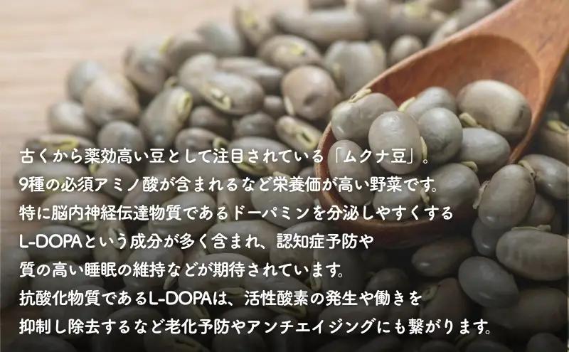 お茶 ムクナ豆 ティーバッグ 健康茶 焙煎 お茶