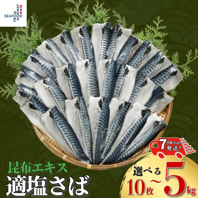 【ふるさと納税】 適塩さば 昆布エキス入り 10枚 ～ 約 5kg 【 スピード配送 】 さば 鯖 サバフィーレ 鯖フィーレ サバフィレ 鯖フィレ 切り身 切身 昆布 お弁当 惣菜 おかず 冷凍 冷凍品 長期保存 お取り寄せ グルメ 大容量 ギフト 贈物 海鮮 千葉県 銚子市 エドノフーズ