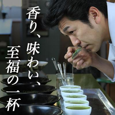 ふるさと納税 掛川市 深蒸し掛川茶「かけがわ育ちW」100g×4袋セット |  | 01