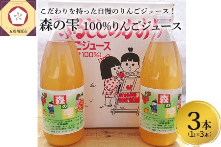 りんごジュース　農家のこだわり100％ストレート １L×3本