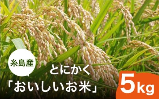 【令和7年産】とにかくおいしいお米 ひのひかり または にこまる 5kg 糸島市 シーブ [AHC021]