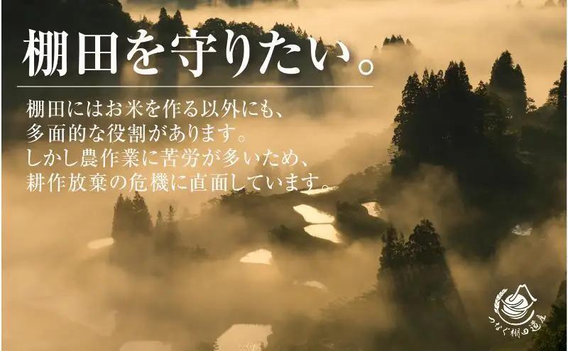 【令和8年産 先行予約】【定期便／全4回】無洗米2kg　新潟県十日町市魚沼産コシヒカリ「つなぐ棚田米」 米 こしひかり 無洗米 定期 十日町市