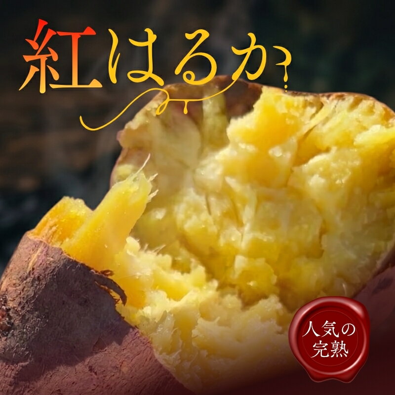 【ふるさと納税】【2026年11月発送分先行予約！】紅はるか ＜内容量をお選びください＞ ｜ さつまいも 5kg 10kg 熟成 数量限定 甘い 焼き芋 バター焼き サラダ 天ぷら スイーツ スイートポテト 大阪 河内長野 中村オリジナルぶどう園 訳あり 料理 国産 野菜 食育