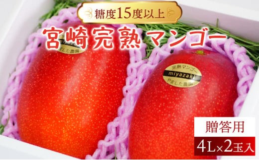 ＜先行予約＞【やました農園】★特大サイズ★累計11,000玉申込突破!! 糖度15度以上の高評価の宮崎完熟マンゴー(4L×2玉入・贈答用) 1箱 果物 フルーツ マンゴー 宮崎 完熟マンゴー デザート 特産品 最高級品質 希少 ギフト プレゼント 贈り物 贈答 宮崎県 串間市 _K005-002