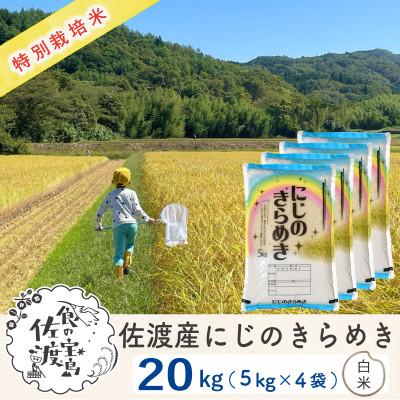 ふるさと納税 佐渡市 佐渡島産にじのきらめき 白米20Kg(5Kg×4袋) 【令和7年産】特別栽培米