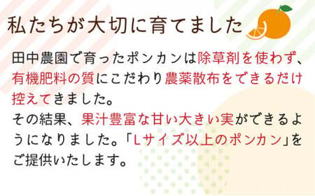 【先行予約】訳ありポンカン 5kg（L~3Lサイズ） 国産 東洋町産 訳あり 甘酸っぱい ジューシー 蜜柑 ミカン高知県 東洋町 四国 お取り寄せ フルーツ 果物 送料無料 TA12 【田中農園】